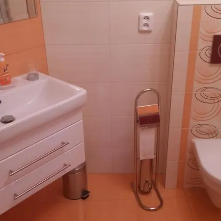 Synergy House 3* Dudince