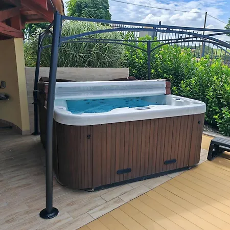 Synergy House דודינצה